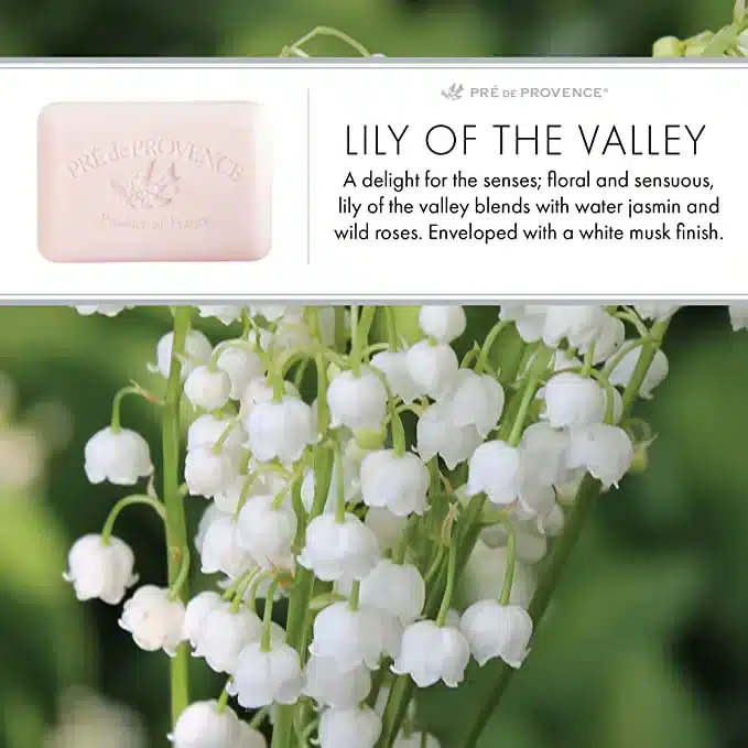  24 Pack of LILY OF THE VALLEY Scented Mineral Oil