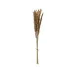 Be Made, Hays KS. 25"H Dried Natural Pampas Grass Bunch